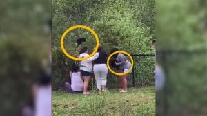 ¡Lamentable! Turistas arrancan crías de oso de los árboles para un selfie