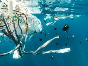 Nos ahogamos en plástico de un solo uso: ¿hasta cuándo podremos estar así?