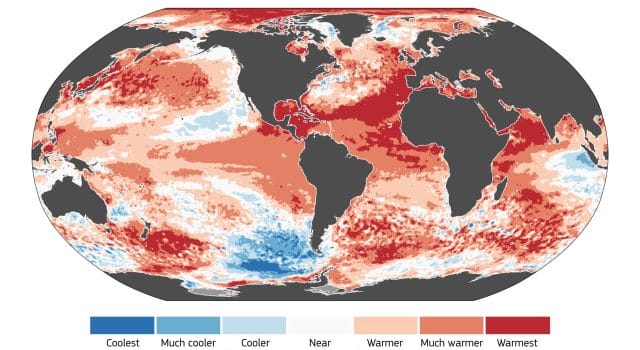 Copernicus: Las temperaturas del océano alcanzaron niveles nunca vistos en 2023