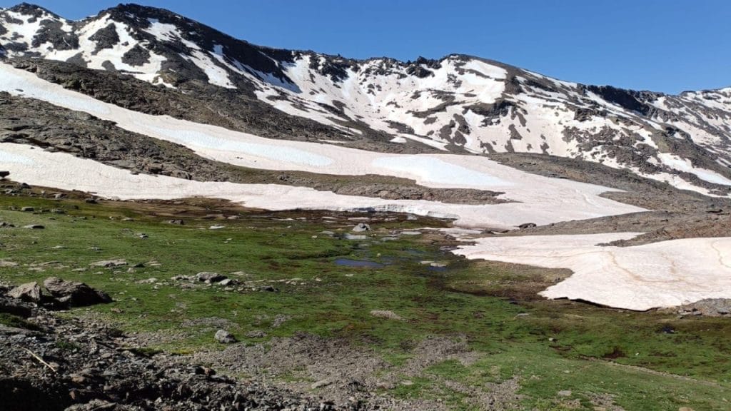 Sierra Nevada
