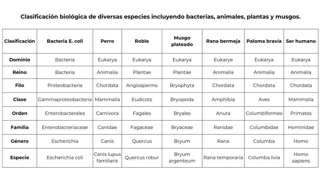 Clasificación biológica de diversas especies incluyendo bacterias, animales, plantas y musgos. bacterias son seres vivos