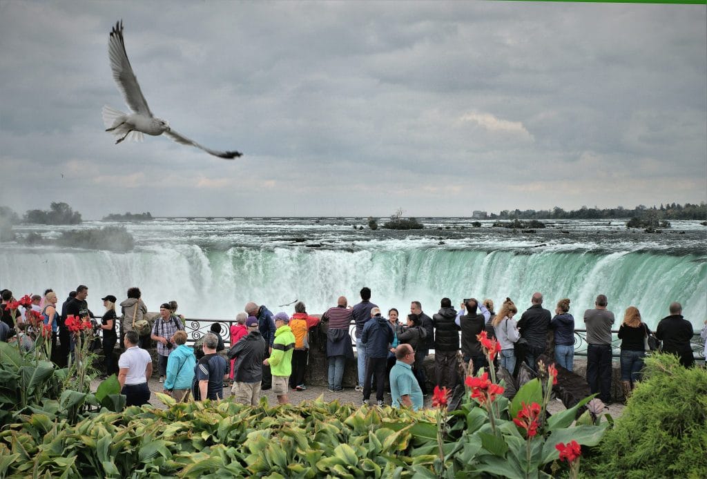 turistas frente a catarata con pájaro volando