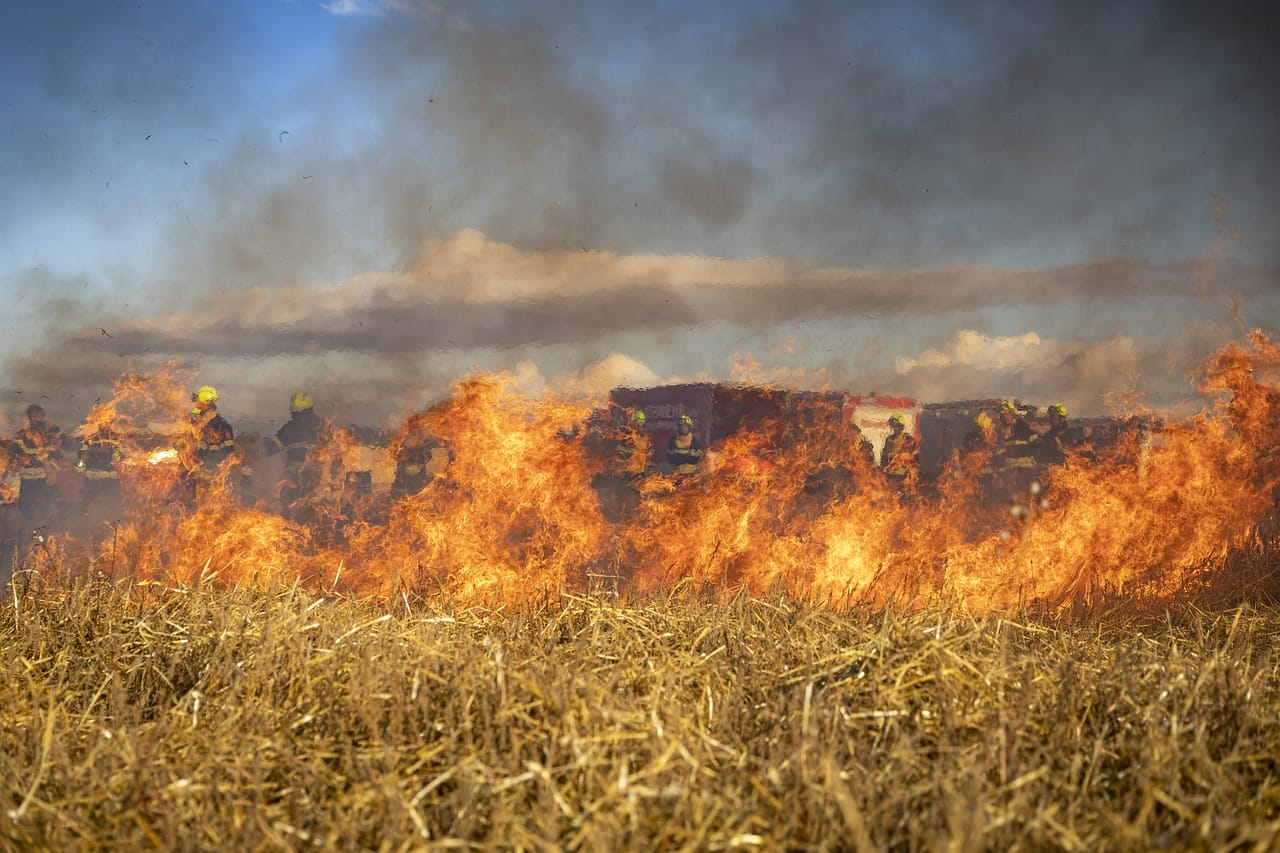 resumen-incendios-de-2024-en-espana-mas-de-34-000-hectareas-afectadas (1)