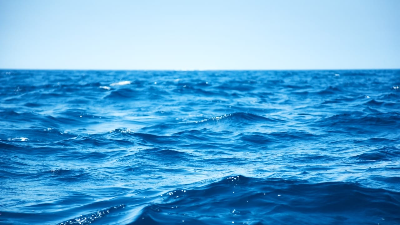 ¿Por qué el agua del mar es salada? Explicación científica y ...