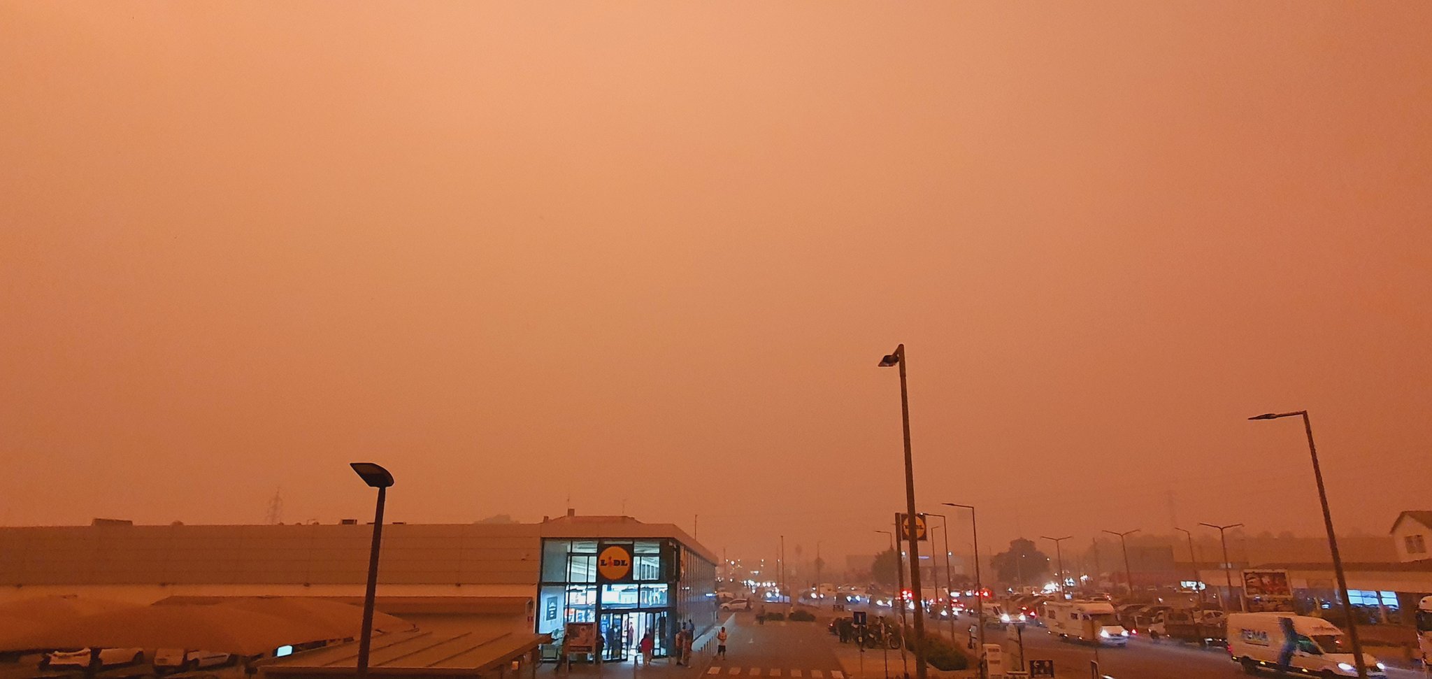 Incêndio devora Aveiro: incêndios descontrolados já fizeram quatro mortos