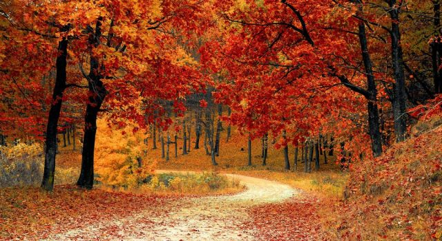 ¿Cuándo empieza el otoño en 2024. Todo lo que necesitas saber