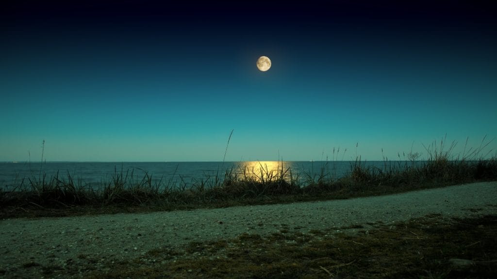 Luna llena octubre 2024 cómo y cuándo ver la «luna del cazador