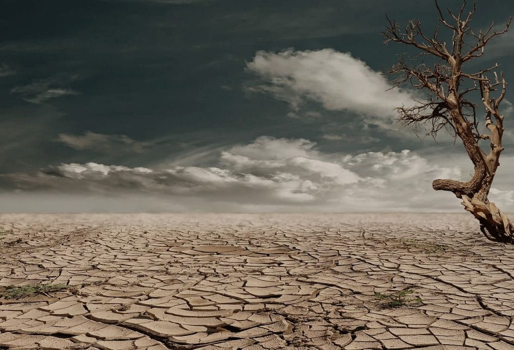 desertificacion