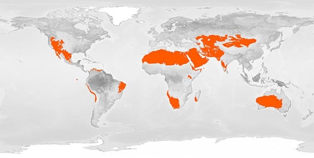 mapa desiertos arena