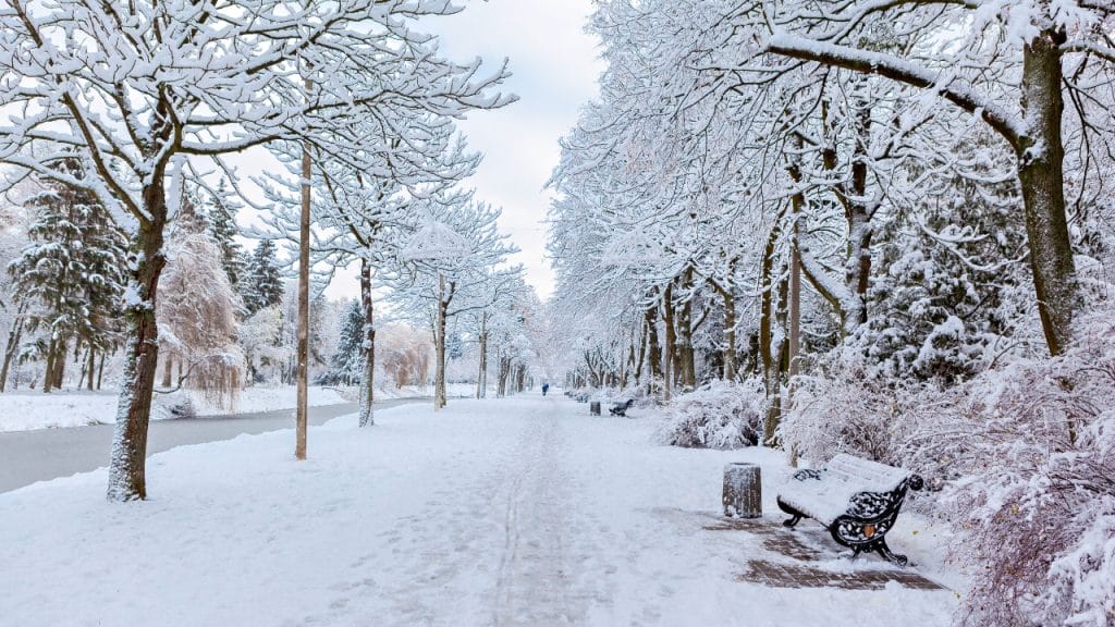 cuándo empieza el invierno