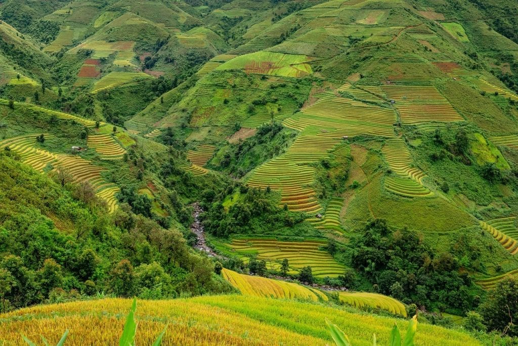 terrazas campos de arroz