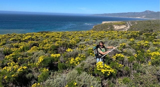 NASA analiza la floración de plantas desde el aire para entender los efectos del cambio climático