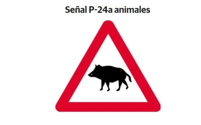 El aumento de accidentes provocados por casos de jabalí ha llevado a la DGT a incluir esta nueva señal de tráfico.