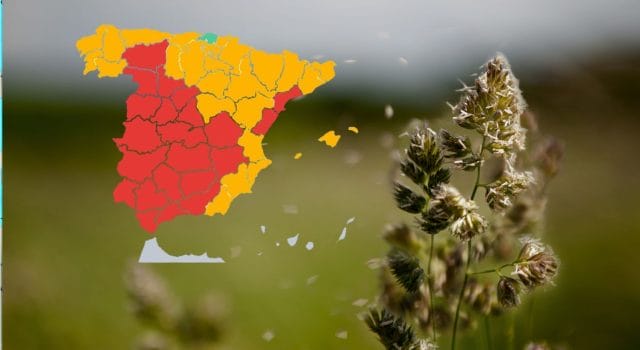 mapa de niveles de polen en españa