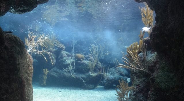 ¿Y si el futuro de la humanidad estuviera bajo el mar?