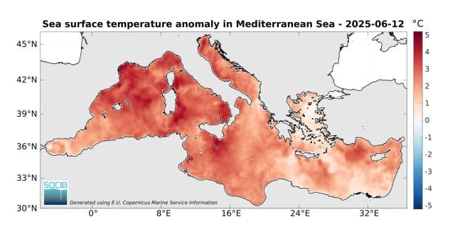 El Mediterráneo ya está como una "sopa": la temperatura del mar hasta 4ºC más cálida de lo normal