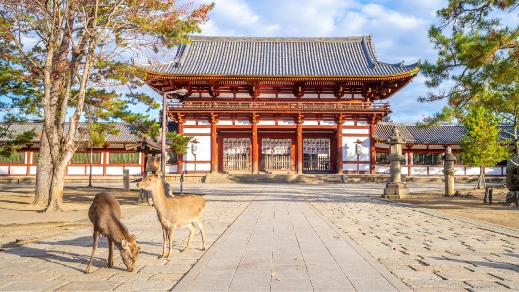 Nara, Japón