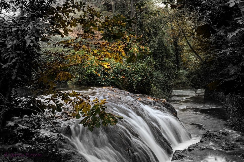 cascada de agua entre vegetación