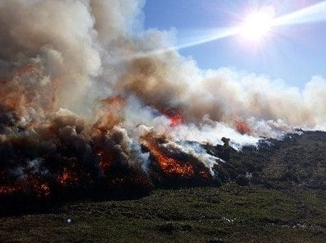 fuego-contra-los-incendios-quemas-prescritas-para-reducir-danos