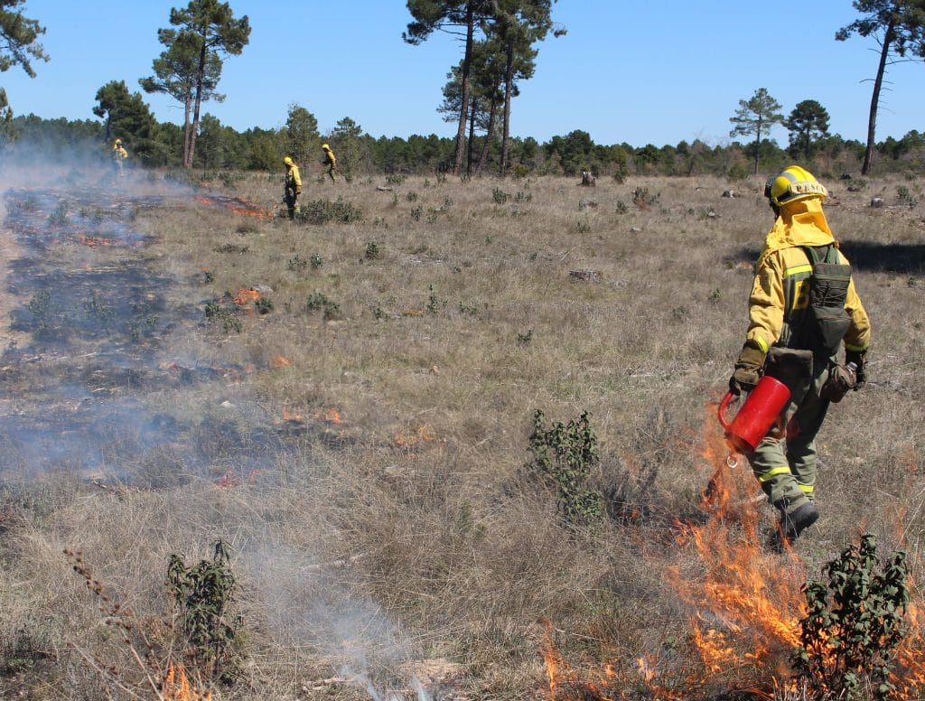 fuego-contra-los-incendios-quemas-prescritas-para-reducir-danos