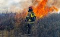 incendios forestales
