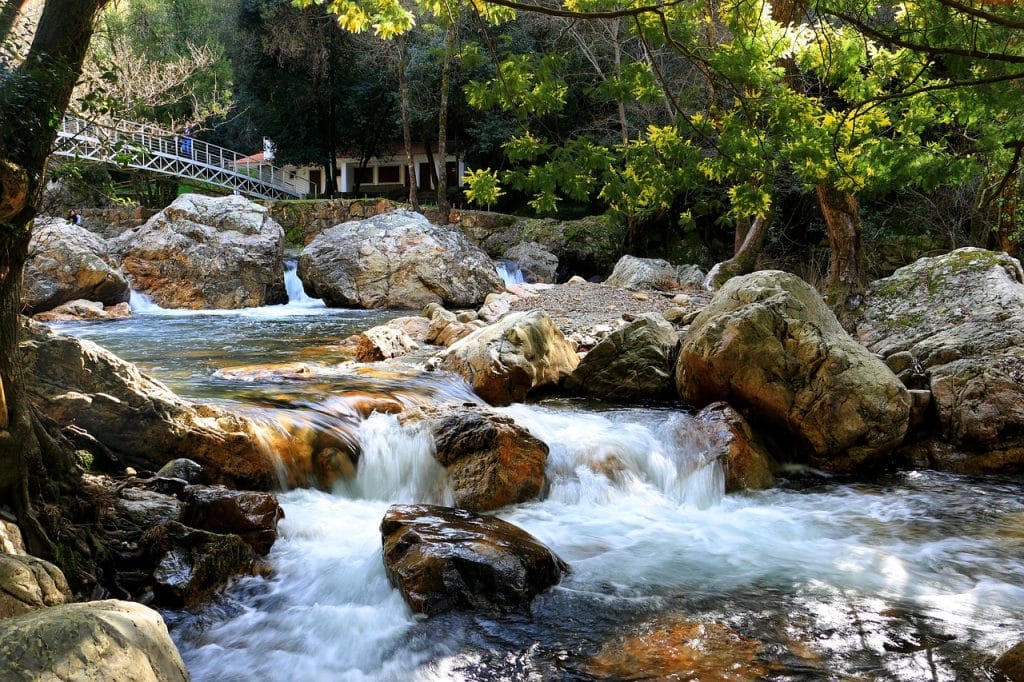 bosque con río y puente