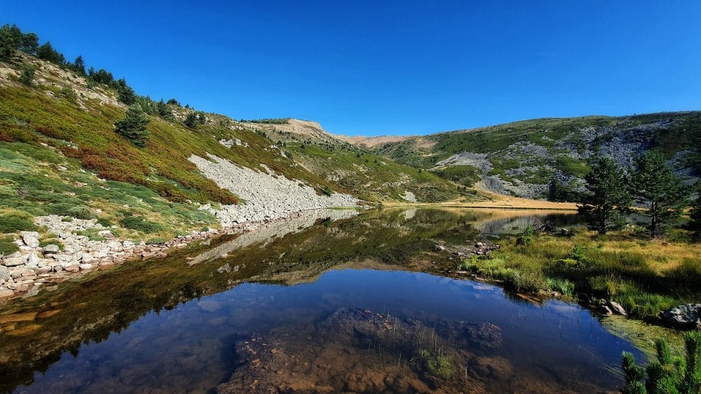 Laguna en el monte