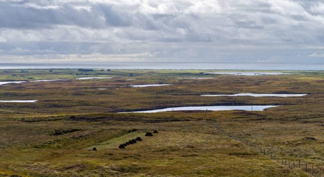 Los pantanos tropicales pasan de ser aliados a grandes emisores de gases de efecto invernadero