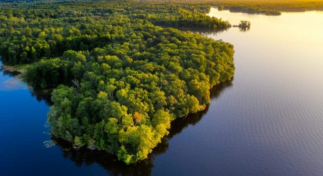 La Amazonia se seca: el pulmón verde empieza a fallar y cambia incluso el tiempo en España