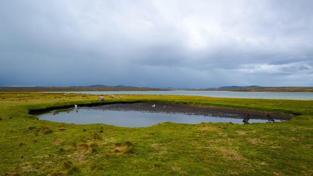 Islas Malvinas