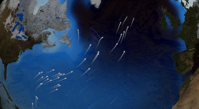 El Atlántico está enviando una señal inquietante: la Corriente del Golfo podría estar cambiando