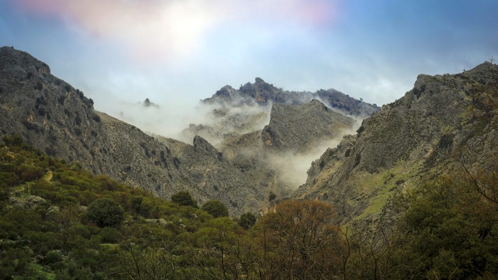montañas con niebla matinal
