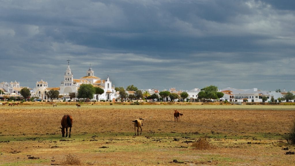 El-Rocío