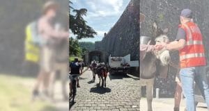 Camino-Santiago-burro