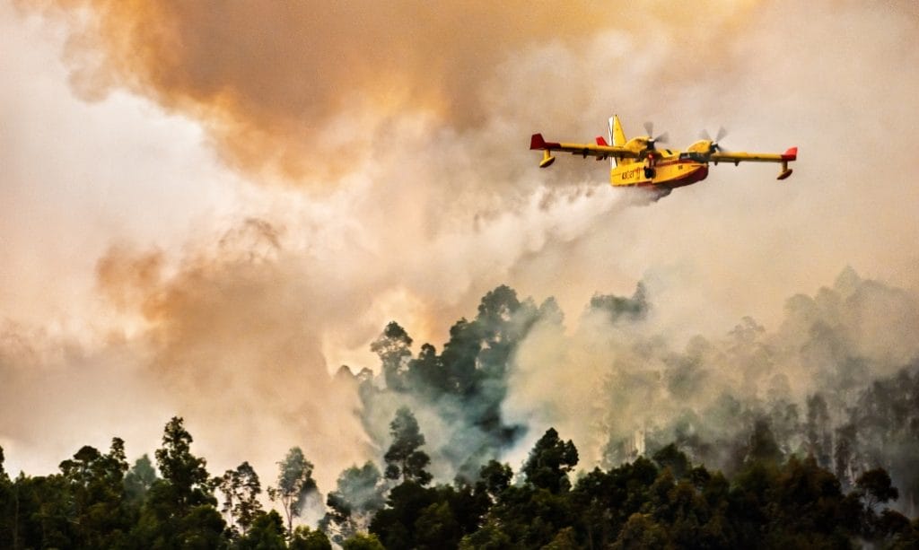 incendios forestales españa 2026 (1)