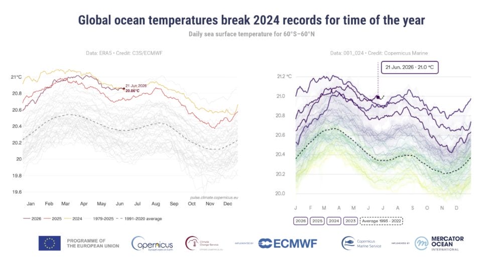 temperatura-Mediterráneo