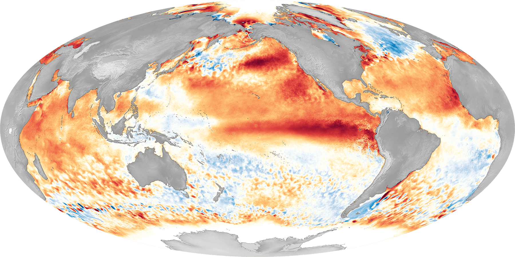 el niño