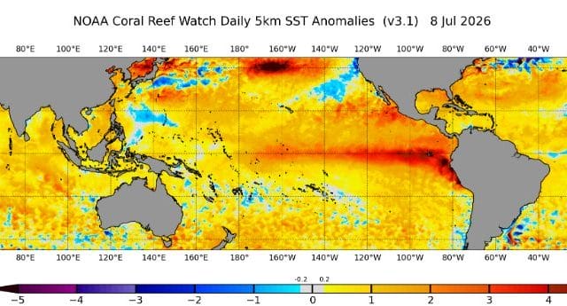 El 40% de la superficie oceánica del mundo podría sufrir una ola de calor marina
