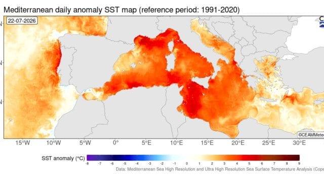 Récords en el Mediterráneo: julio alcanza los valores más altos jamás registrados