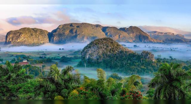 Plan urgente para rescatar la naturaleza