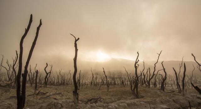 ‘Tesoros’ destapados por la sequía