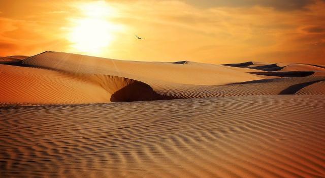Lugares donde casi no se podrá vivir en 2070 por el calor