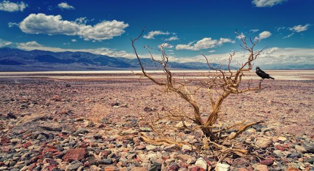 El Valle de la Muerte registra su temperatura más elevada en más de cien años