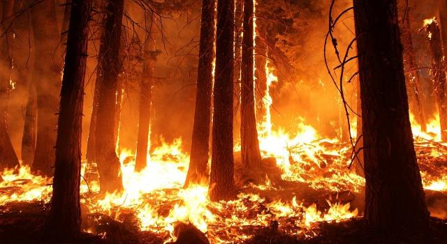 Incendios de Galicia 2020: previsión para las próximas horas