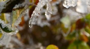 Adiós ola de frío: lluvias y rápido deshielo esta semana
