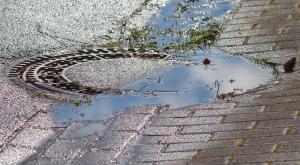 Borrasca Gaetan: rápido deshielo con viento y lluvia