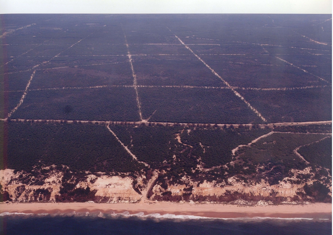 Consulta el tiempo que hará en Playa de Rompeculos - Eltiempo.es