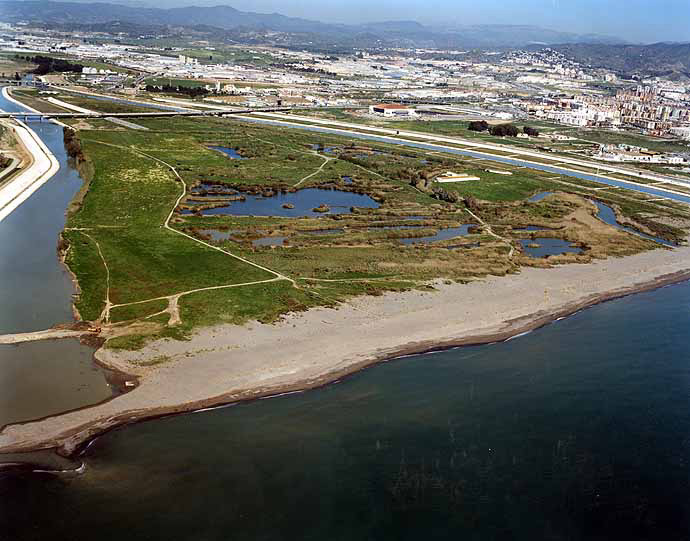 Resultado de imagen de desembocadura del guadalhorce malaga