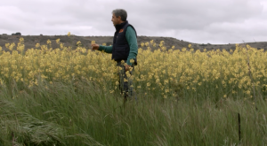 Agricultores: "ahogados" en la falta de agua