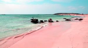 ¿Existen las playas rosas?